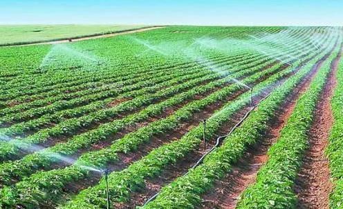 不要肏了网站农田高 效节水灌溉